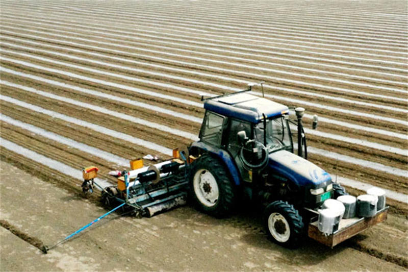 605e93e833034.jpg 30.jpg