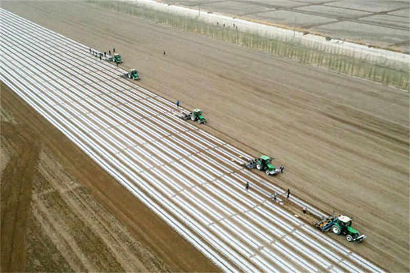 605e94141b39d.jpg 6.jpg