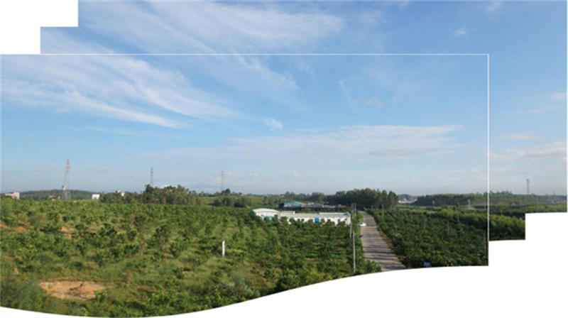 6169714180b06.jpg 37.jpg