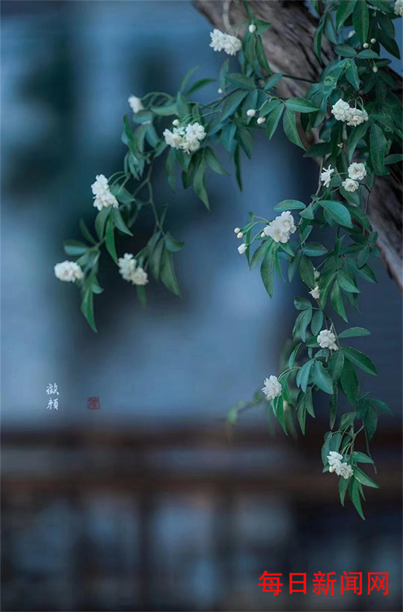 62680897a27a4.jpg 6.jpg