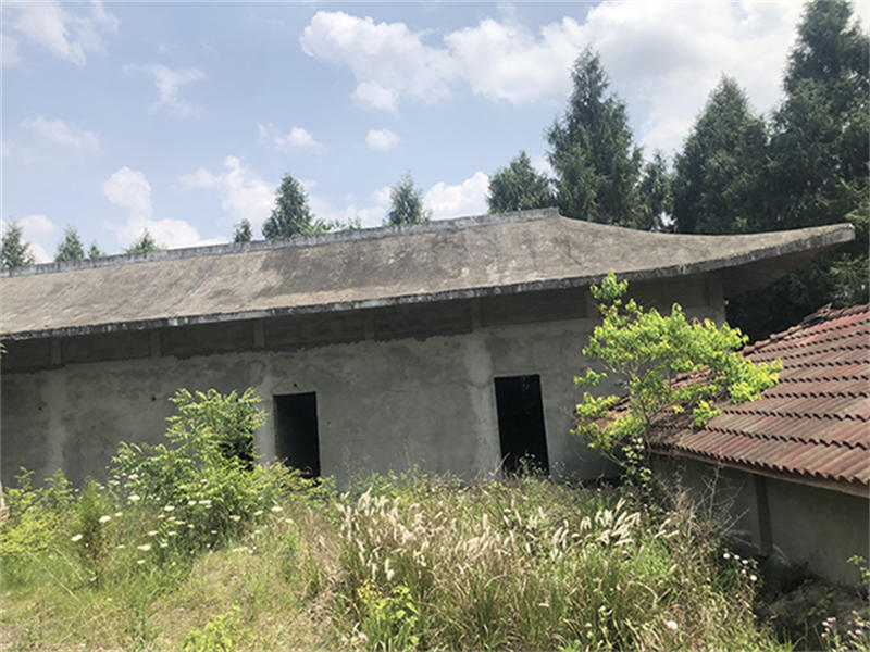 627cab5a5dad5.jpg 13.jpg