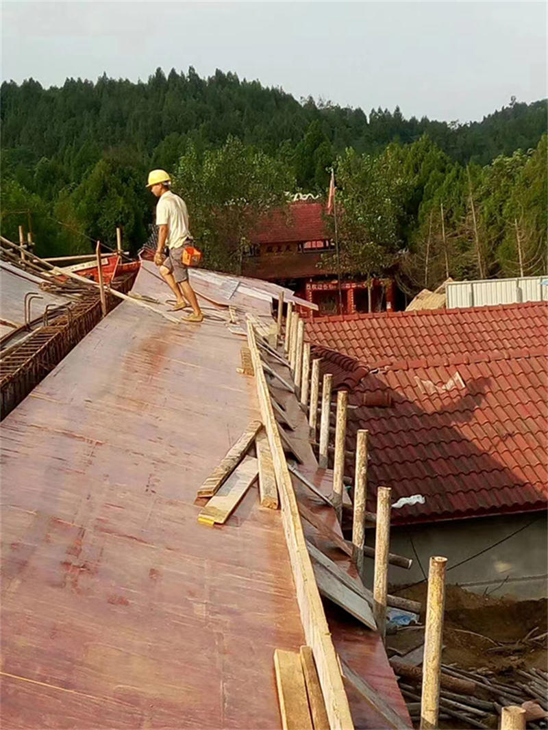 627cf95346eec.jpg 003.jpg