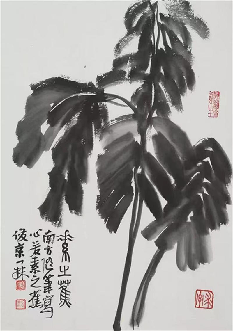 62b07770a0242.jpg 4.jpg