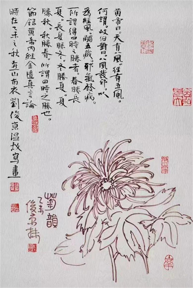 62b078b29956a.jpg 10.jpg