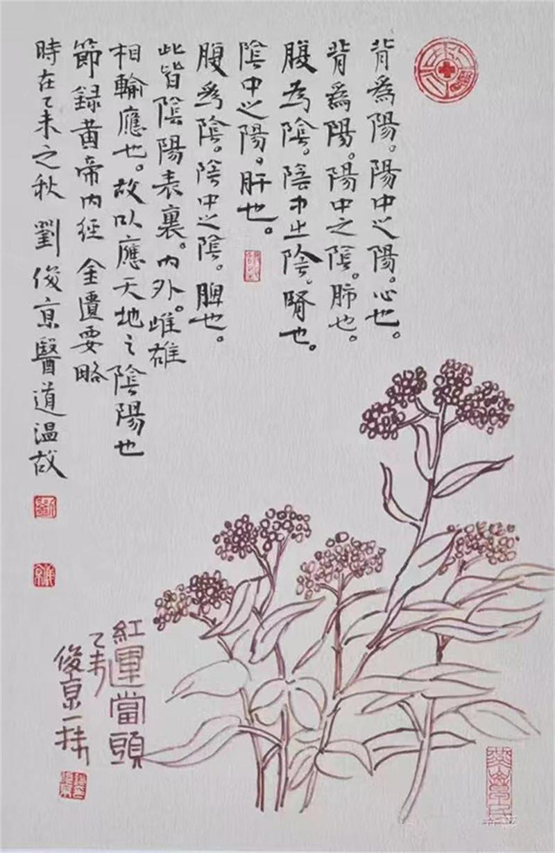 62b078c9be0e4.jpg 11.jpg