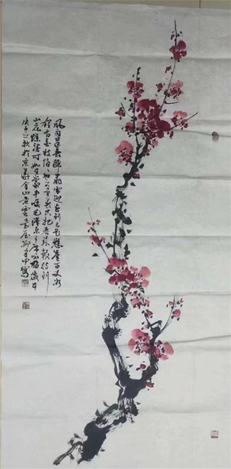 62b097ce893b1.jpg 07.jpg