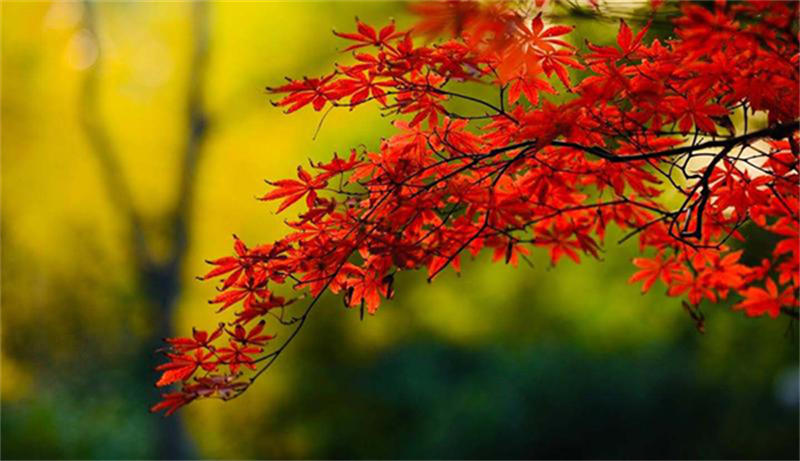 636ce383f3b3c.jpg 01.jpg