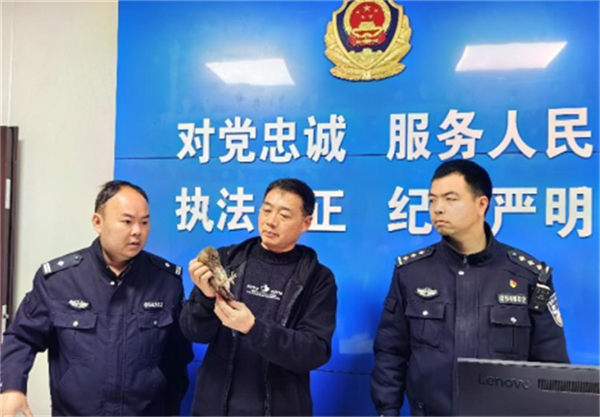 6426506d5f411.png 1111111111111111111.png