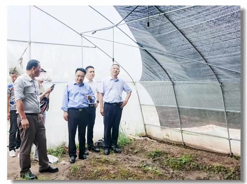 64430d9476711.jpg 111111111111111111.jpg