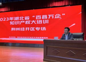 “知产”赋能，知识产权“百县万企”经开区