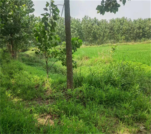 64c0d89c2c782.png 铭444444444444444444.png