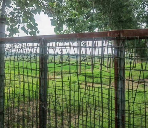 64c0d8ace8ae7.png 铭55555555555555.png