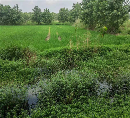 64c0d90cb2943.png 铭10.png