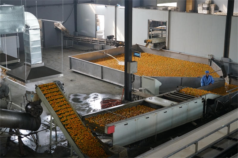 64e77f4ae4411.jpg 促444444444444444.jpg