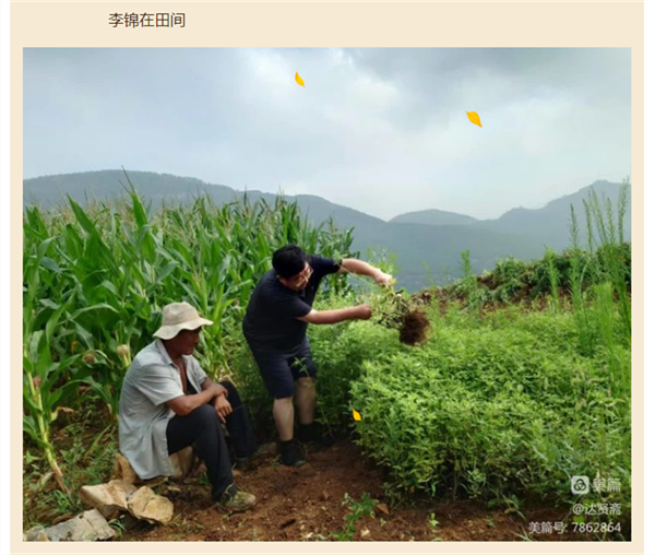 64e78bdba5cf5.png 我17.png