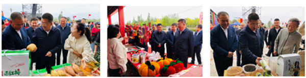 65100d4f3a29e.png 啊33333333333333333.png