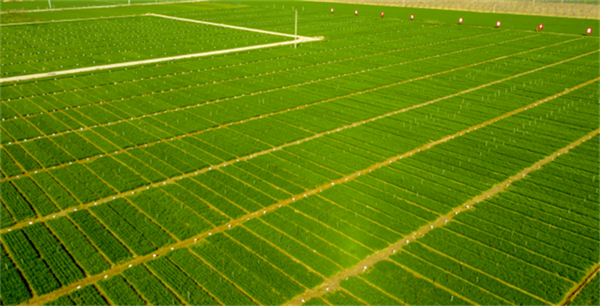 6566ede854569.png 南2222222222222222.png