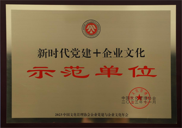 十六化建荣获多项党建+企业文化荣誉