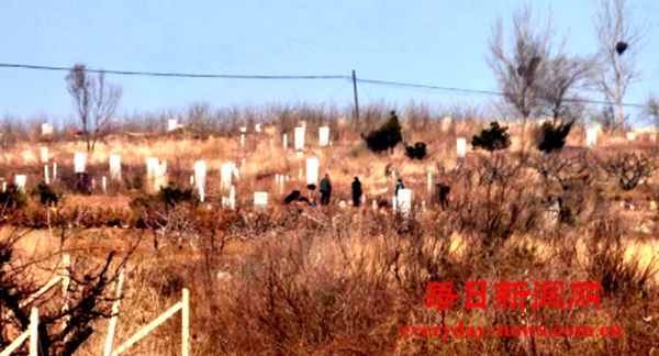 辽宁营口—芦屯镇多个村中集体土地被承包户私下售卖他人建墓地，村民多次反映未果问题至今未得到有效解决