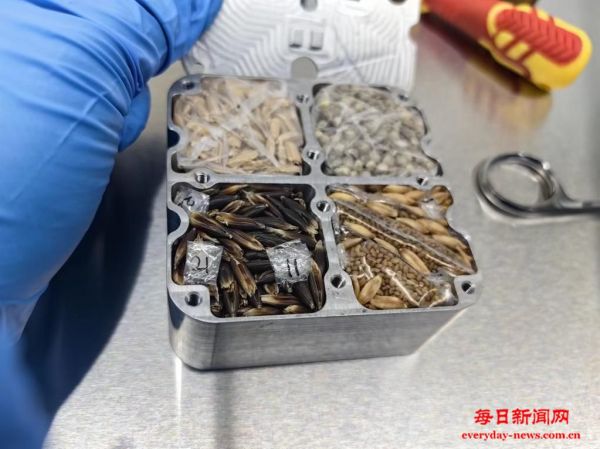 我国优质牧草种质资源完成首次太空舱外暴露