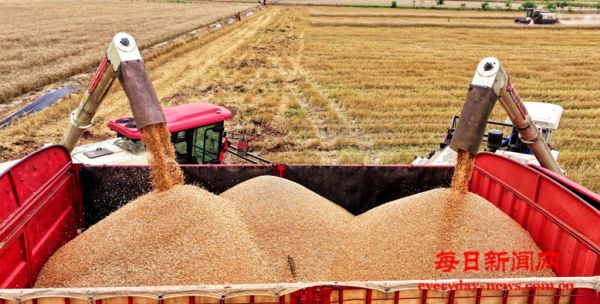 （文图/吕本政 毛晓萱）