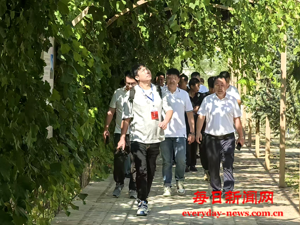 去6666666666666.png 去6666666666666.png