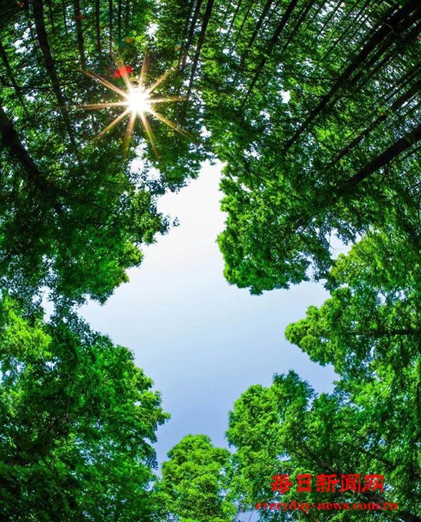 新一年，请把健康置顶