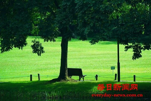 感冒好了，低热还在怎么办