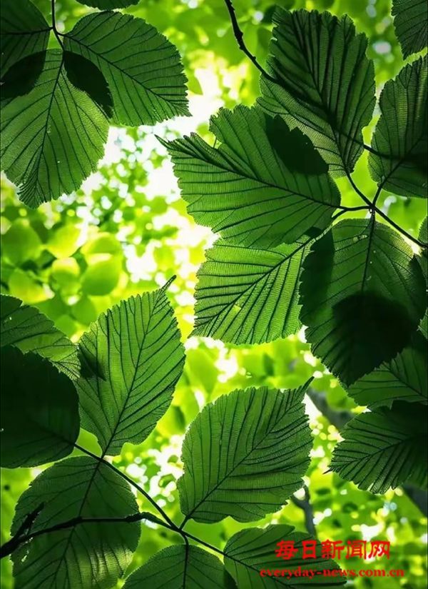 告别“囧途”，春节出行健康攻略请查收~_