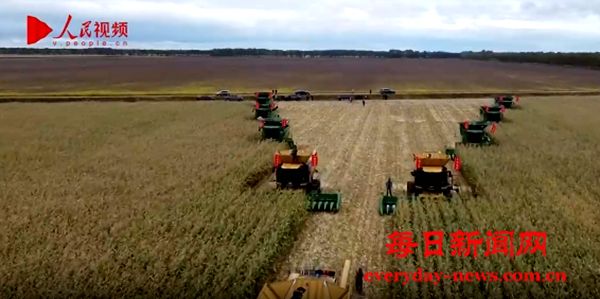 《财米油盐》丨“最会种地”的中国人，现在