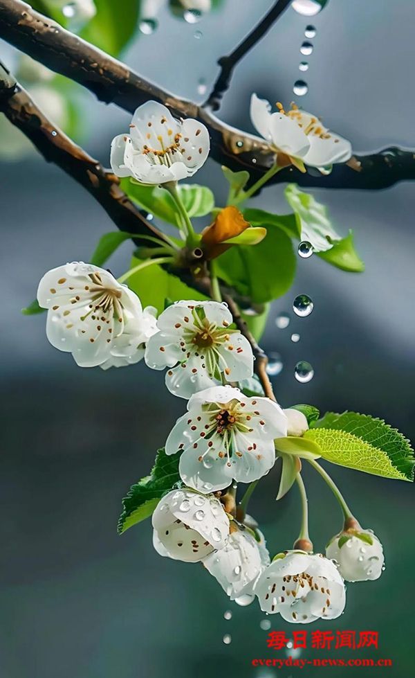 看似平常却伤肝的10个习惯，快来自查你中