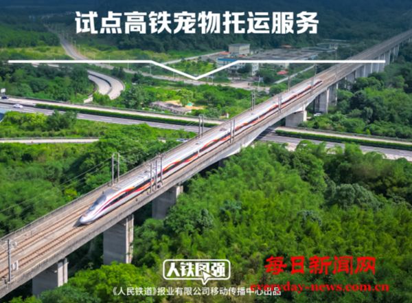 宠物猫狗可坐高铁了！铁路12306推出“