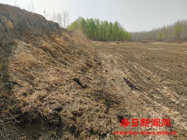 辽宁省建平县百亩良田遭盗挖破坏