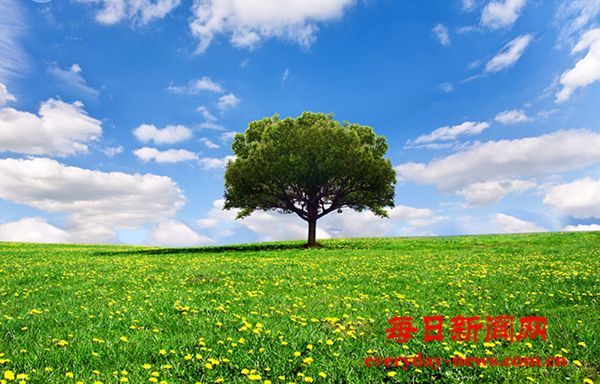 《层叠的北京：看得见的古都八百年》首发 