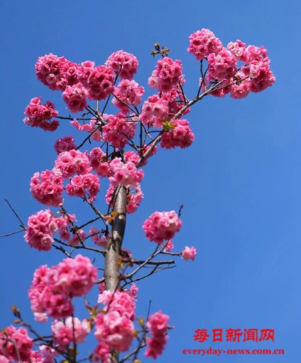 春天防风邪这几件事要做好_