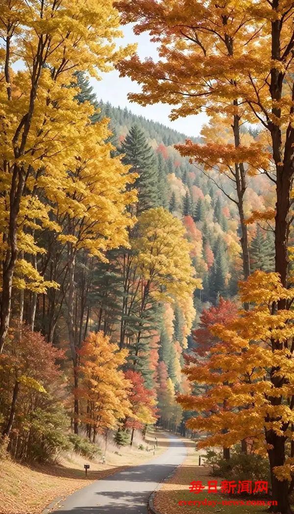 四川多举措支持返乡入乡创业