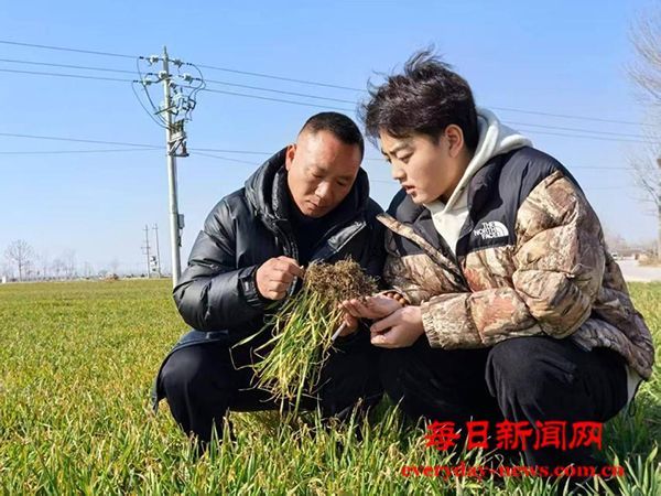 大学生陈怡桦：以奉献之犁深耕青春沃土