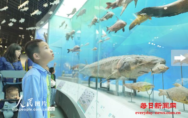 重庆北碚：博物馆里度假期