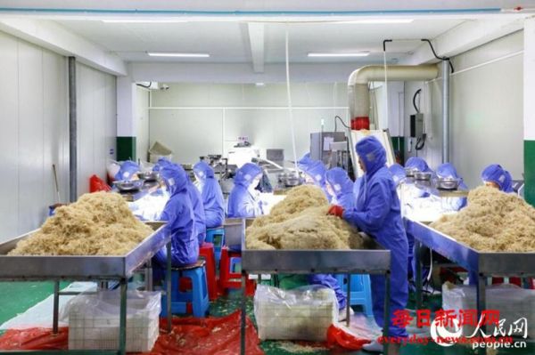 空心村”“薄弱村”的破局密码