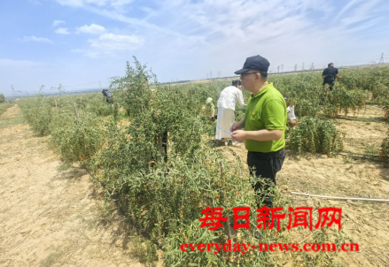 去77777777777.png 去77777777777.png