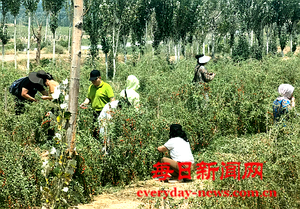 去88888888888.png 去88888888888.png