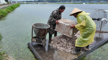 去8888888888.png 去8888888888.png