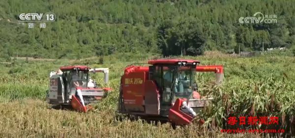 “良种良技+智慧农机”为秋收保驾护航 科