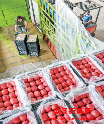 案111111111111.png 案111111111111.png