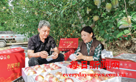 案22222222222.png 案22222222222.png