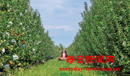 案3333333333333.png 案3333333333333.png