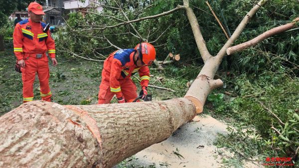 “医护人员说下刀子都会把我接到医院来！”