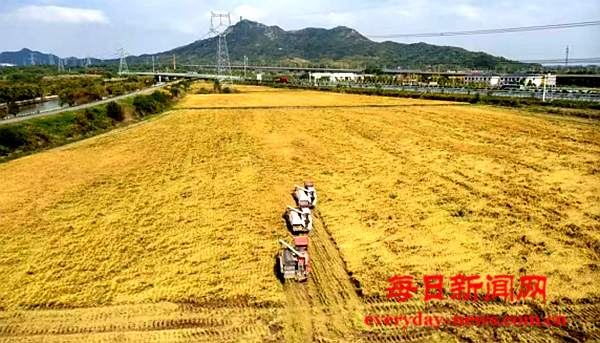 去3333333.png 去3333333.png