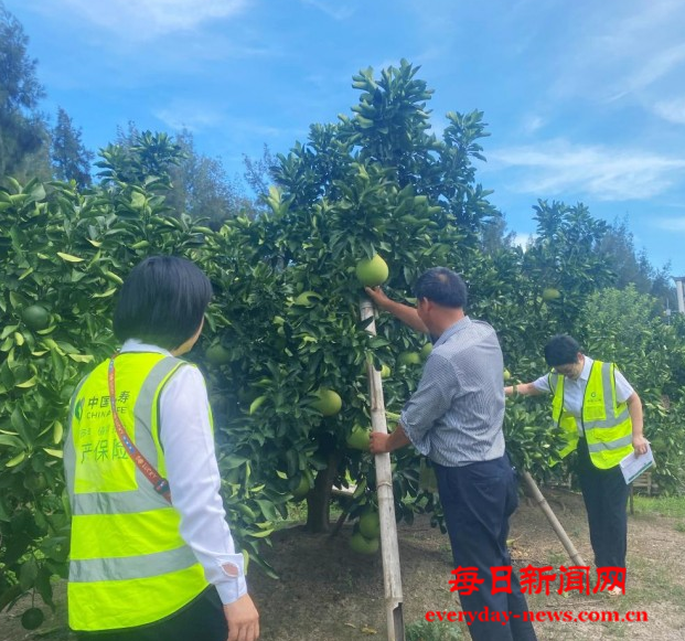 案111111111111.png 案111111111111.png