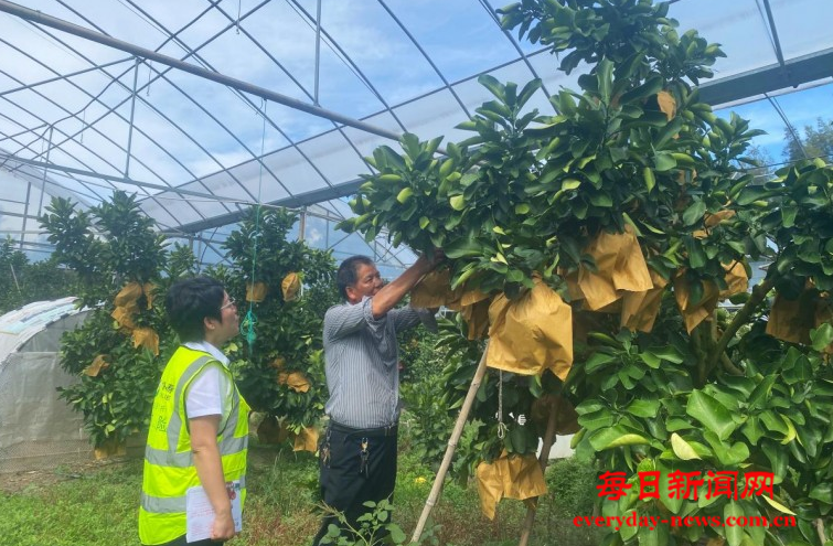 案22222222222222.png 案22222222222222.png